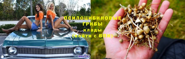 кокаин перу Белокуриха