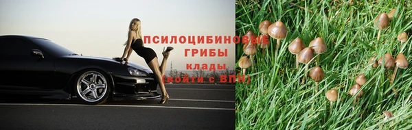 первитин Белоозёрский
